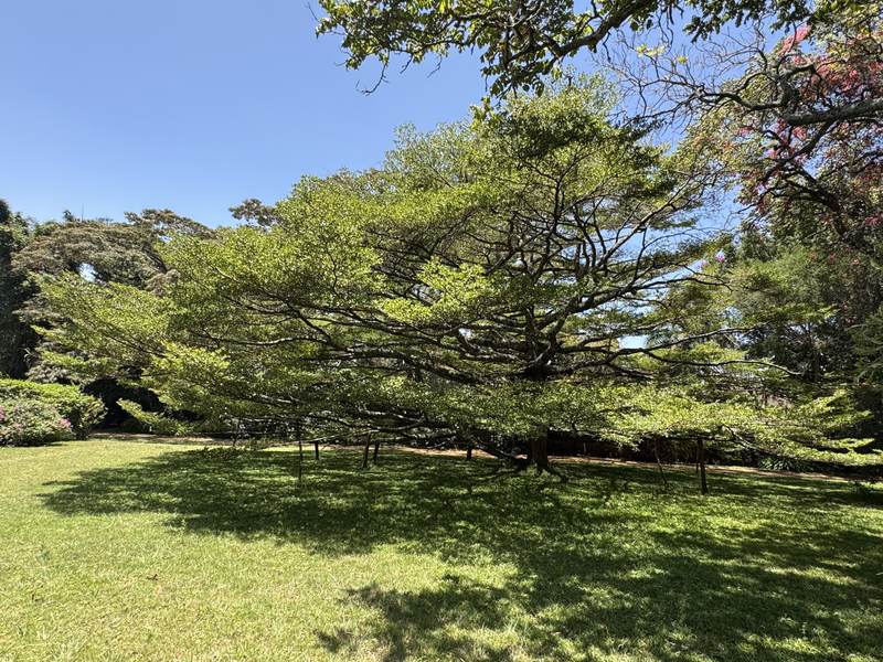 Serengeti Guest Cottage - Gallery 2